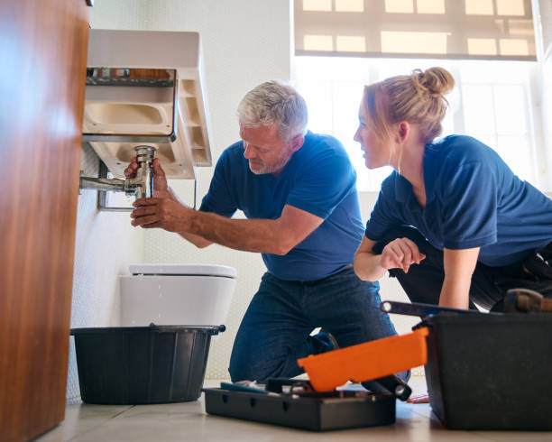 Professional Plumbing in Paxtonia, PA